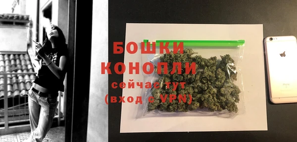трава Абаза
