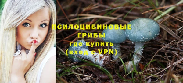 марихуана Новодвинск