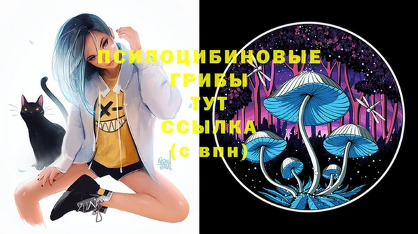 2c-b Новозыбков