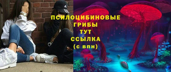 трава Абаза