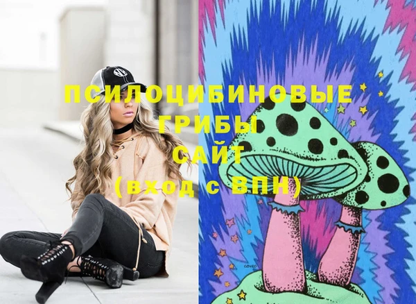 трава Абаза