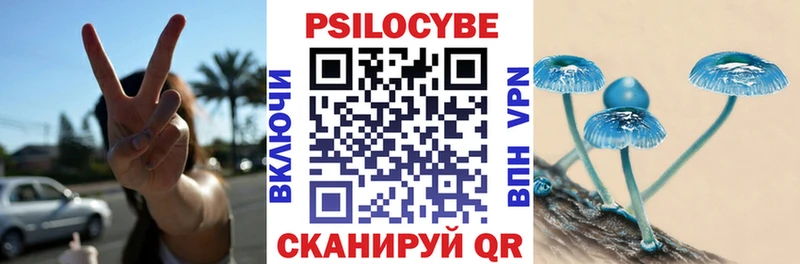 купить наркотики цена  Райчихинск  Галлюциногенные грибы Psilocybe 